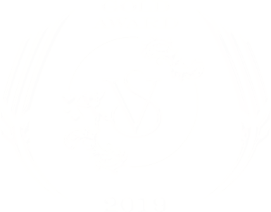 GOLD_AWARD_VSC_2019