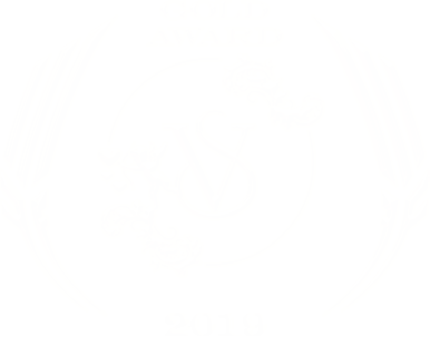 GOLD_AWARD_VSC_2019